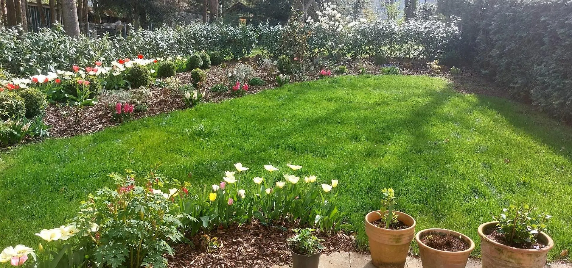 Sunny Garden Flat In Munich Apartment